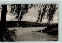 59846 W5768 Langscheid , Sorpesee - Sorpesee