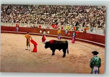 30000 Nimes - Stierkampfarena Torero vor dem letzten Stoß