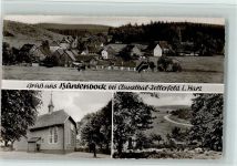 38678 W3392 Buntenbock - Kirche Kühe