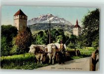 Luzern Lucerne Verlag Wehrli 9919 - Ochsengespann Tiergespann 1924