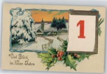 Neujahr 1. Januar Litho Stechpalme Datumskarte 1913 Folienkarte / Lackkarte