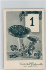 Neujahr - Datum 1. Januar - Fliegenpilze Pilz