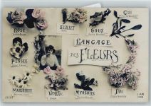 Foto AK Blumensprache 1909