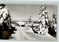 Winter Tannenbäume Schwarzwaldhaus