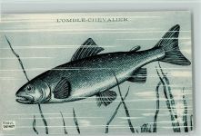 Seeforelle - sign Raoul Guinot Fisch