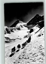 Jungfraujoch , Polarhunde Foto 1972 AK Hundeschlitten
