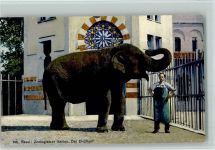 Basel Bâle Zool. Garten - Elefant mit Tierpfleger ca 1913 AK Zoo
