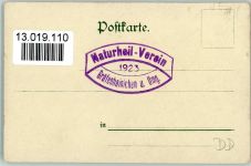 Nr. 9 Kneippsche Pflanzenbilder 1900 AK Medizin Kräuter