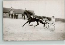ca 1930 Foto AK Trabrennen