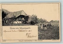 Velten Verlag Nr. 7 - Schwarzwaldhaus , gute Erhaltung Daur, H. Künstlerkarte