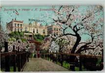 14542 O1512 Werder (Havel) 1910 - Baumblüte Bismarckhöhe