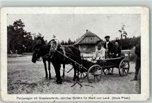 Brest Brest-Litowsk Gebrauchsspuren Rokitnosümpfe östl. Brest-Litowsk Nr. 6 Panjewagen mit Kosakenpferde