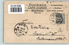W1000 Berlin Mitte 1900 Rathaus Passepartout Pflanzen Lithographie / Prägedruck