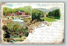 08491 O9804 Netzschkau Lithographie 1898 Bad Rosenthal Park