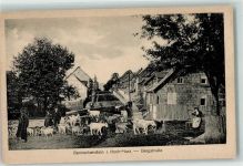 38877 O3702 Benneckenstein - Bergstraße Ziegen