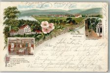 30890 W3013 Barsinghausen 1897 Lithographie Deister-Hotel Speisesaal Terrassen-Kaffeegarten Gedicht