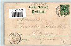 30890 W3013 Barsinghausen 1897 Lithographie Deister-Hotel Speisesaal Terrassen-Kaffeegarten Gedicht
