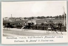 Wien 2. Bezirk, Leopoldstadt Stall Breslau : Rlcorado + Hofbauer II Diana Trabrennen 1934 Foto AK