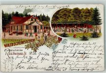 Reichenau i. Sachsen Bogatynia 1903 Lithographie Gasthaus Waldschlösschen Fichtelschänke
