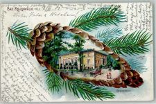 16259 O1310 Bad Freienwalde 1901 Lithographie Brunnenhotel Tannenzapfen sign E. Schlemo