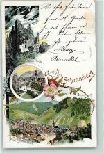 78144 W7230 Schramberg 1901 Lithographie Ruine Nippenburg Rose