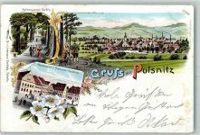 01896 O8514 Pulsnitz 1899 Lithographie Schlossgartenpartie Hauptmarkt Rietschel-Denkmal Jäger