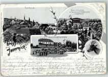 02627 O8601 Jauernick 1904 Gebrauchsspuren Blick v. Kreuzberg Gasthaus Wilhelmshöhe Rehbock Lithographie