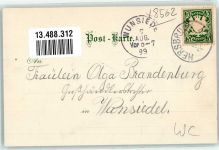 91217 W8562 Hersbruck 1899 Lithographie Hohenstein Michelsberg