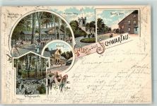 23611 W2407 Bad Schwartau 1898 Lithographie Singvögel Wilhelmsquelle Bahnhof Pariener Berg Waldhalle