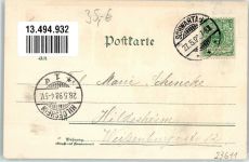 23611 W2407 Bad Schwartau 1898 Lithographie Singvögel Wilhelmsquelle Bahnhof Pariener Berg Waldhalle