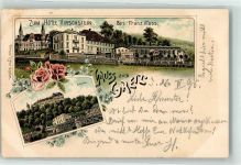 07973 O6600 Greiz 1896 Lithographie Oberes Schloß Hotel Hirschstein Rosenknospen
