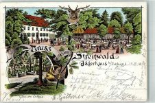 04654 O7233 Frohburg 1898 Lithographie Gasthaus Jägerhaus Altes Schloß Hirschkopf Bahnpoststempel