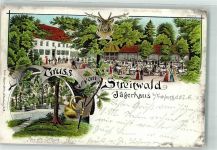 04654 O7233 Frohburg 1899 Lithographie Streitwald Gasthaus Jägerhaus Altes Schloss