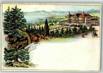 82327 W8132 Tutzing Lithographie Hotel Simon Starnberger See