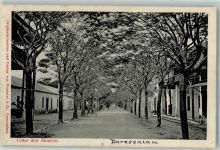 1905 - Daressalam unter den Akazien