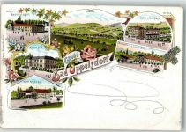 Bad Oppelsdorf Opolno Zdroj 1898 Lithographie Hotel zum Kurhaus Hotel Annenhof Albert-Bad Gasthaus Carola-Bad