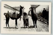 Foto AK Tracht Alpaka