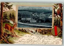 79871 W7821 Eisenbach Hochschwarzwald 1905 Prägedruck Eisenbach Rehbock Auerhahn Passepartout