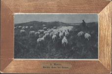 Schafe in den Dünen,Brebis dans les dunes, A. Mauve, Folienpatent-AK, Bild geschützt unter Folie, sehr aufwendig Hirte Künstlerkarte