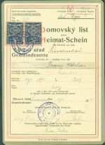 Cheb Eger Lipová Lindenhau Heimatschein Ausweis KEINE AK