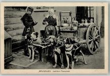 Brüssel Bruxelles Laitiere Flamane Polizei Kontrolle AK Hundekarren 1915