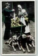 Laitiere Flamande - Polizei Kontrolle Hundekarren