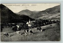 79256 W7801 Buchenbach , Breisgau - Rinderweide Bahnpoststempel Freiburg Zug 156