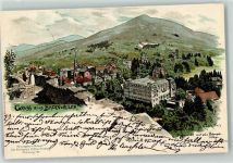 W7847 Badenweiler Gruss aus Verlag Elchlepp Liebich C. 1900 Lithographie