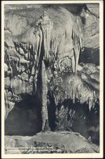 38889 O3725 Rübeland um 1930/40 - Rübeland, Baumannshöhle, Elefantenrüssel am hängenden Gebirge,Berger AKU1