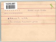 88131 W8991 Aeschach FOTO KEINE AK Fliegeraufnahme Original aufmontierte Verlagsmusterkarte