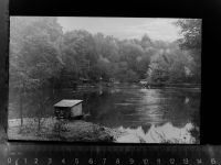 31832 W3213 Eldagsen , Deister GLASNEGATIV Teich