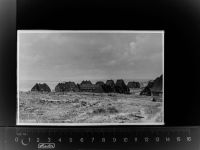 25992 W2282 List , Sylt GLASNEGATIV Frischwassertal