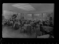59597 W4782 Bad Westernkotten GLASNEGATIV Wintergarten