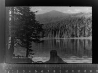 94209 W8370 Regen GLASNEGATIV Grosser Arbersee m. Arbergipfel